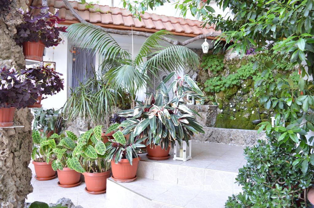Family Hotel Sofi Sozopol Ngoại thất bức ảnh