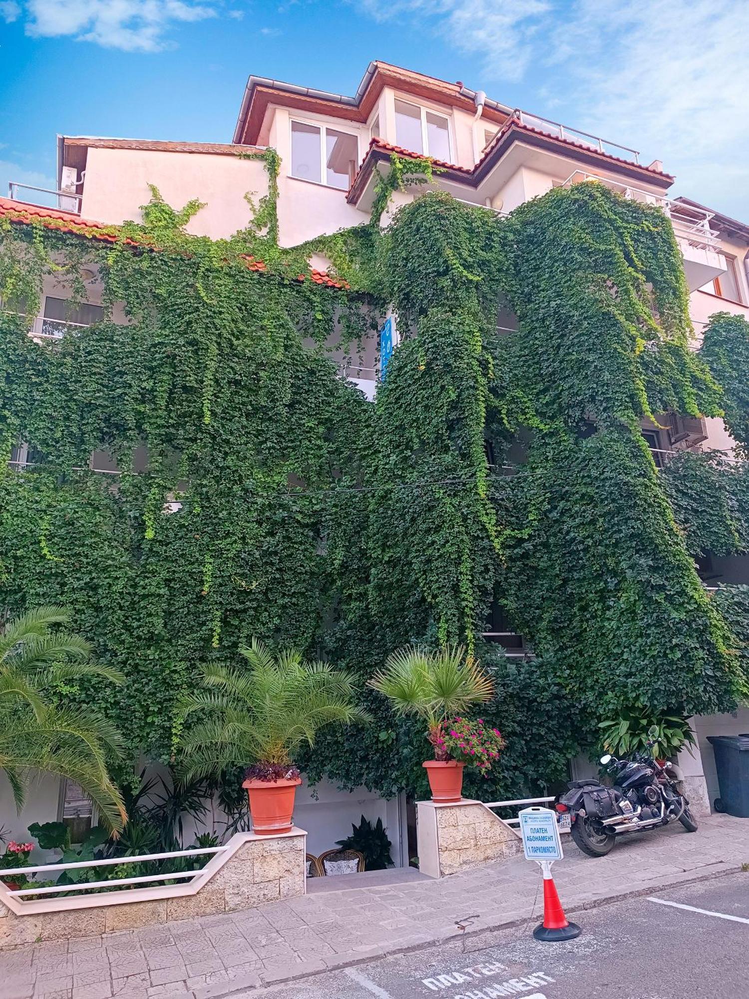 Family Hotel Sofi Sozopol Ngoại thất bức ảnh
